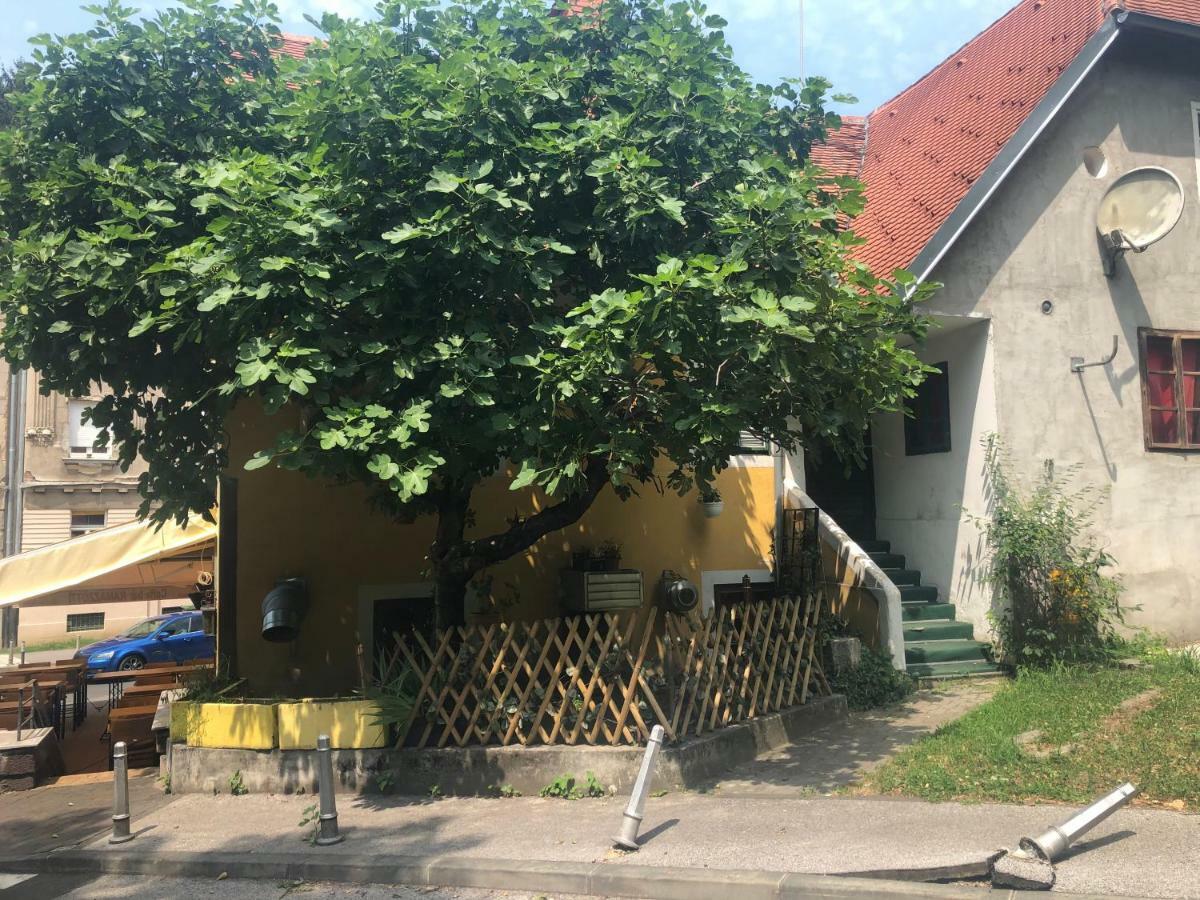 Apartment Tkalca Zagreb Dış mekan fotoğraf